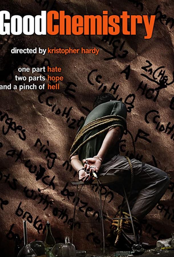 Постер к Хорошая химия (2008)