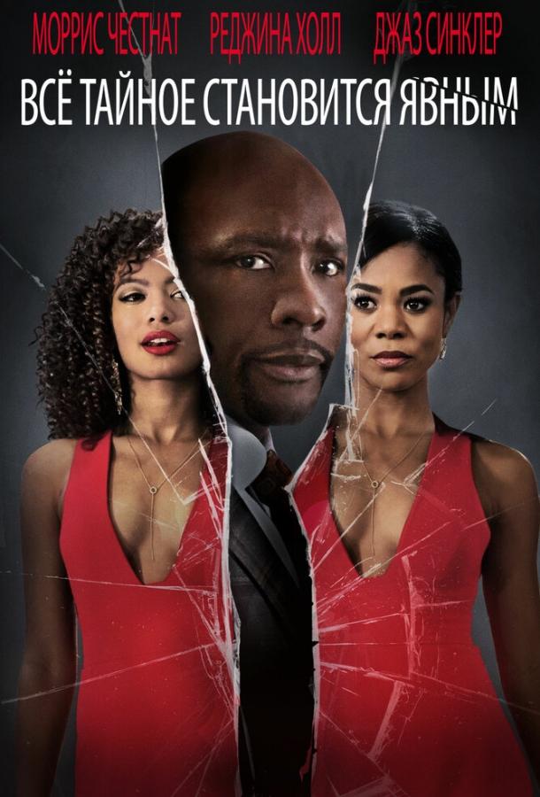 Постер к Все тайное становится явным (2016)