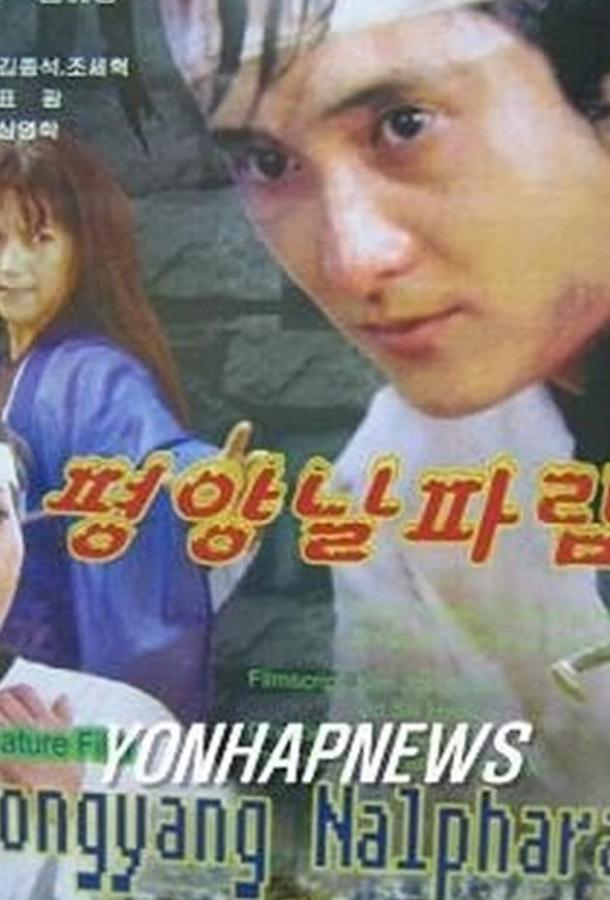 Постер к Пхеньян нальпхарам (2006)
