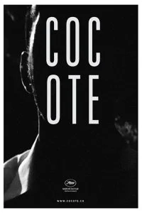 Постер к Кокоте (2017)